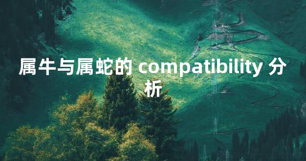 属牛与属蛇的 compatibility 分析